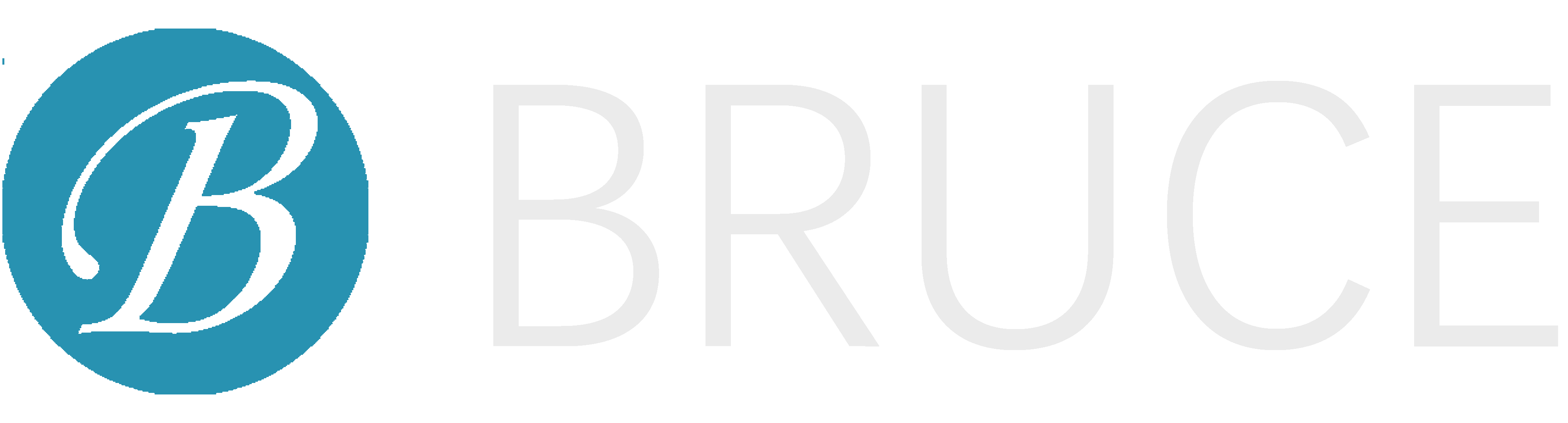 Bruce's Blog